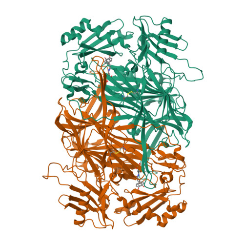 Rcsb Pdb 2d1w Substrate Schiff Base Intermediate With Tyramine In Copper Amine Oxidase From Arthrobacter Globiformis