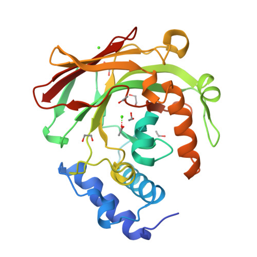 Rcsb Pdb 5d2i 4 Oxalocrotonate Decarboxylase From Pseudomonas Putida G7 Complexed With Calcium And Acetate