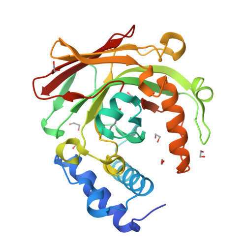 Rcsb Pdb 5d2k 4 Oxalocrotonate Decarboxylase From Pseudomonas Putida G7 Complexed With Magnesium And 2 Oxoadipate