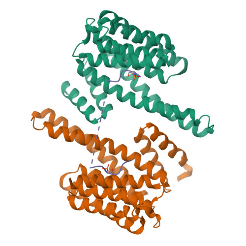 Rcsb Pdb 5d3e Crystal Structure Of Human 14 3 3 Gamma In Complex With Cftr R Domain Peptide Ps768 Ps795