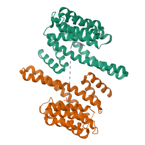 Rcsb Pdb 5d3e Crystal Structure Of Human 14 3 3 Gamma In Complex With Cftr R Domain Peptide Ps768 Ps795