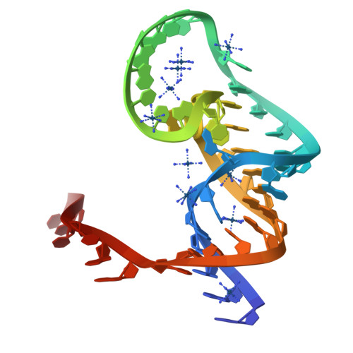 6D3P assembly