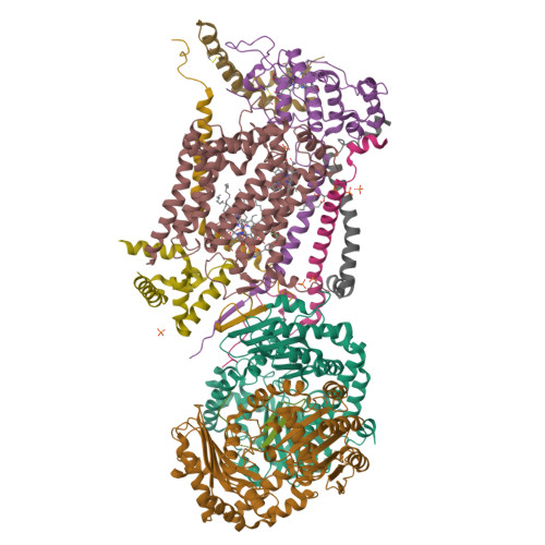 Rcsb Pdb 4d6t Cytochrome Bc1 Bound To The 4 1h Pyridone Gw844520