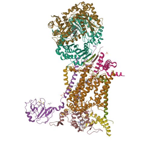 Rcsb Pdb 4d6t Cytochrome Bc1 Bound To The 4 1h Pyridone Gw844520