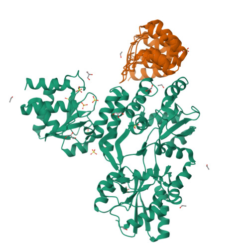 Rcsb Pdb 6d65 Crystal Structure Of The Human Dual Specificity Phosphatase 1 Catalytic Domain C258s As A Maltose Binding Protein Fusion In Complex With The Designed Ar Protein Off7
