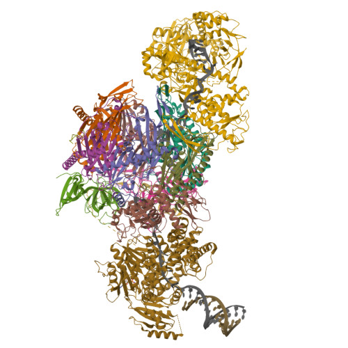 Rcsb Pdb 6d6r Human Nuclear Exosome Mtr4 Rna Complex Composite Map After Focused Reconstruction