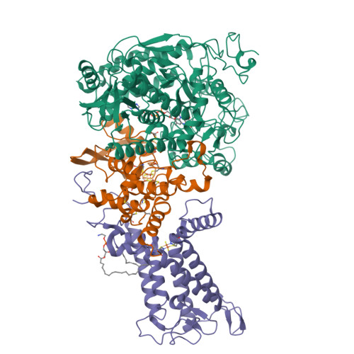 Rcsb Pdb 7d6x Mycobacterium Smegmatis Sdh1 Complex In The Apo Form