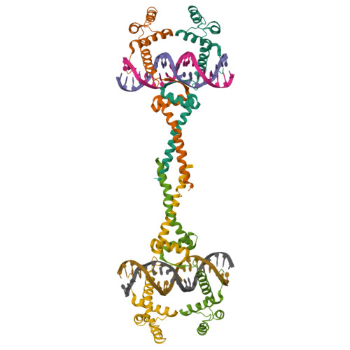 Rcsb Pdb 4d8j Structure Of E Coli Matp Mats Complex