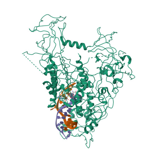 Rcsb Pdb 4da4 Structure Of Mouse Dnmt1 731 1602 Bound To Hemimethylated Cpg Dna