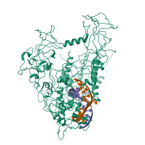 Rcsb Pdb 4da4 Structure Of Mouse Dnmt1 731 1602 Bound To Hemimethylated Cpg Dna