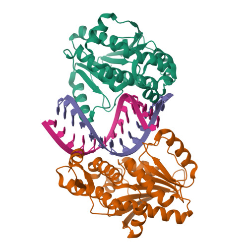 4DB2 assembly