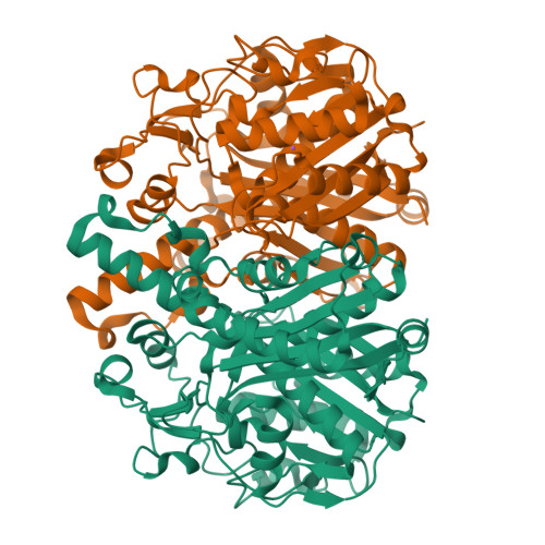 image of structure for 4DDO