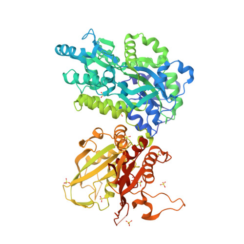 RCSB PDB - 6DD5: Crystal Structure of 