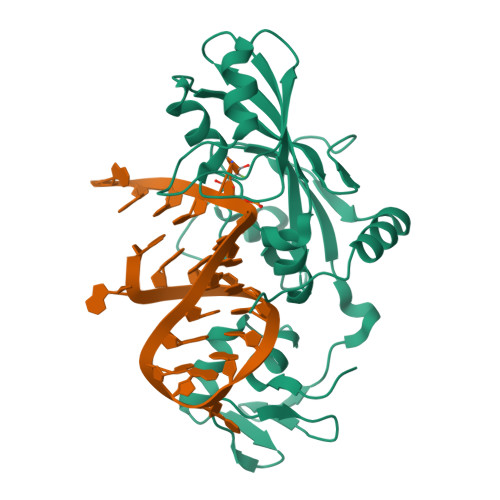 3DH3 assembly