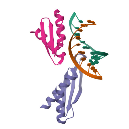Rcsb Pdb 1di2 Crystal Structure Of A Dsrna Binding Domain Complexed With Dsrna Molecular Basis Of Double Stranded Rna Protein Interactions