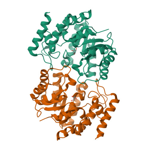 Protein Data Bank: 3DI0