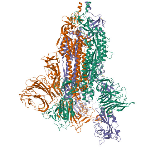 Rcsb Pdb 7dk3 Sars Cov 2 S Trimer S Open