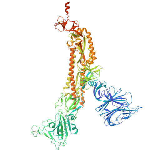 Rcsb Pdb 7dk3 Sars Cov 2 S Trimer S Open