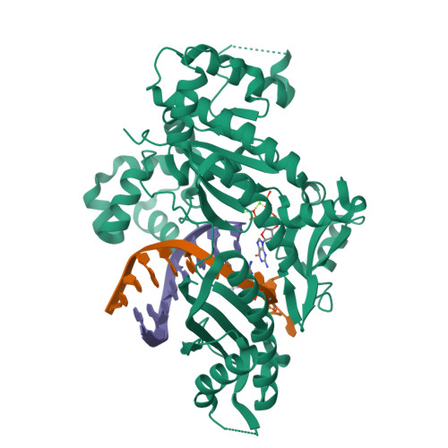 Rcsb Pdb 4dl6 Human Dna Polymerase Eta Extending Primer Immediately After Cisplatin Crosslink Pt Gg3