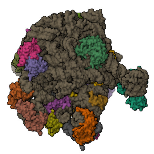 5DM6 assembly
