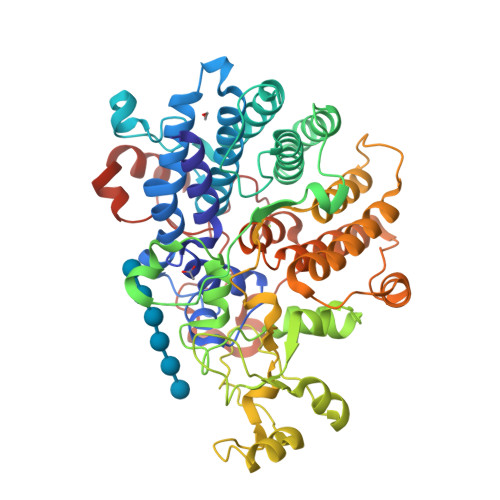 Rcsb Pdb 6dmf Bacteroides Ovatus Mixed Linkage Glucan Utilization Locus Mlgul Sgbp A With Cellohexaose