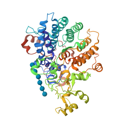 Rcsb Pdb 6dmf Bacteroides Ovatus Mixed Linkage Glucan Utilization Locus Mlgul Sgbp A With Cellohexaose