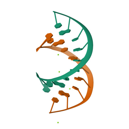 1DNO logo