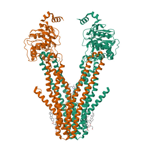 RCSB PDB: Homepage