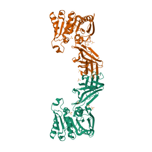 3DOH logo