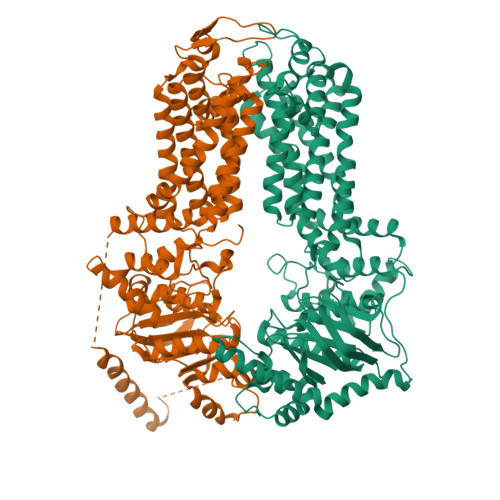 Rcsb Pdb 5do7 Crystal Structure Of The Human Sterol Transporter Abcg5 Abcg8