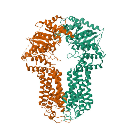 Rcsb Pdb 5do7 Crystal Structure Of The Human Sterol Transporter Abcg5 Abcg8