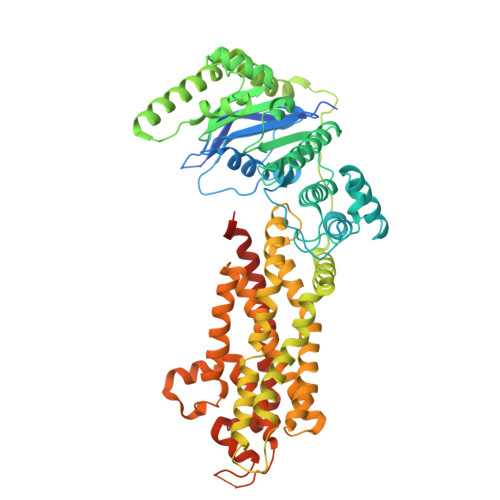 Rcsb Pdb 5do7 Crystal Structure Of The Human Sterol Transporter Abcg5 Abcg8