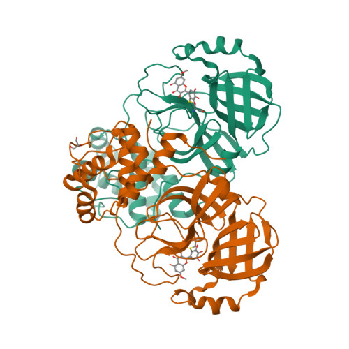 rcsb pdb 7dpu sars cov 2 3cl protease 3clpro in complex with 7 o methyl myricetin