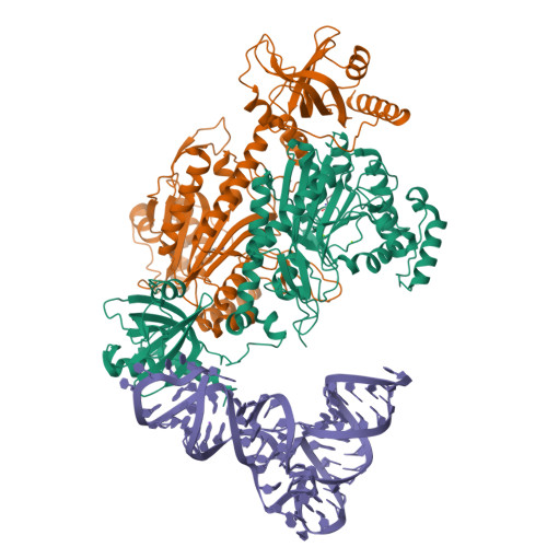 9DPB assembly