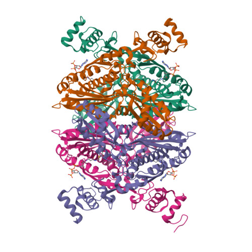 Rcsb Pdb 1dq9 Complex Of Catalytic Portion Of Human Hmg Coa Reductase With Hmg Coa