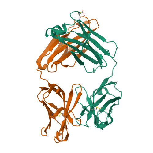 Rcsb Pdb 1dqm Crystal Structure Of Anti Lysozyme Antibody