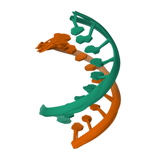 Rcsb Pdb 1drr Dna Rna Hybrid Duplex Containing A Purine Rich Dna Strand Nmr 10 Structures