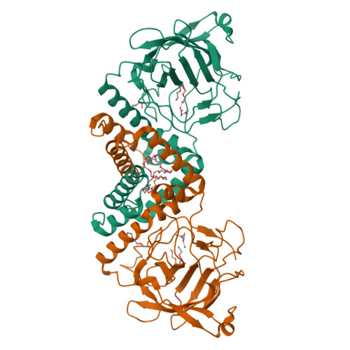 image of structure for 9DR5