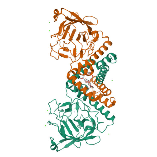 image of structure for 9DR6