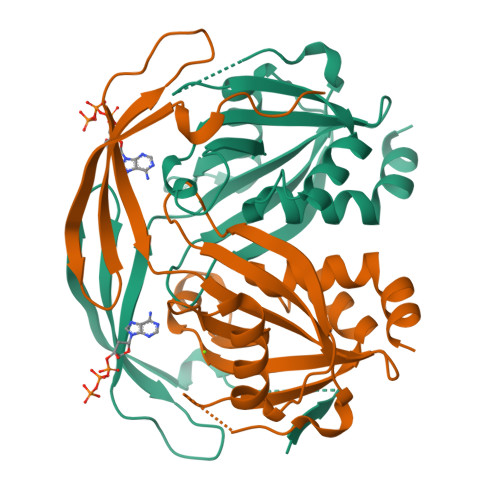 image of structure for 9DRF