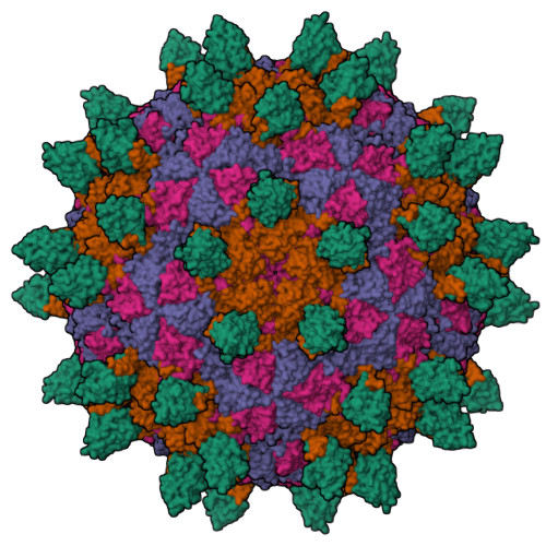 RCSB PDB - 7DSS: Complex of FMDV and M8 Nab