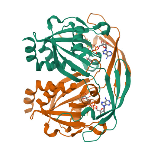 image of structure for 9DTC