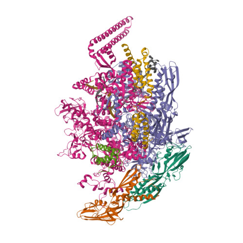 Rcsb Pdb 6dvd Crystal Structure Of Mycobacterium Tuberculosis Transcription Initiation Complex Ecf Sigma Factor L With 6 Nt Spacer And Bromine Labelled In Position 11