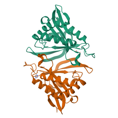 image of structure for 5DWM