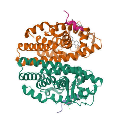 Rcsb Pdb 5dx3 Estrogen Receptor Alpha Ligand Binding Domain Y537s Mutant In Complex With Stapled Peptide Src2 P3 And Estradiol