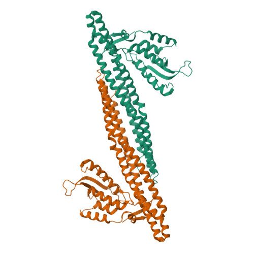 Rcsb Pdb 3dyu Crystal Structure Of Snx9px Bar 230 595 H32