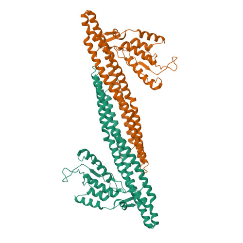 Rcsb Pdb 3dyu Crystal Structure Of Snx9px Bar 230 595 H32