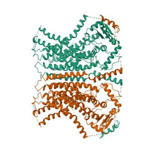 Rcsb Pdb 6e0h Pdb Aftmem16 Reconstituted In Nanodiscs In The Presence Of Ca2