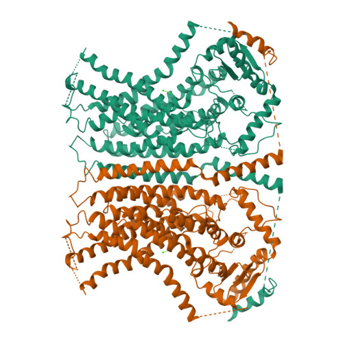 6e0h Pdb Aftmem16 Reconstituted In Nanodiscs In The Presence Of Ca2 Rcsb Pdb