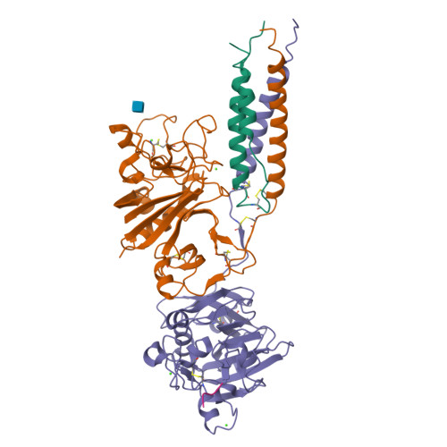 Rcsb Pdb 3e1i Crystal Structure Of etad432a Variant Fibrinogen Fragment D With The Peptide Ligand Gly His Arg Pro Amide